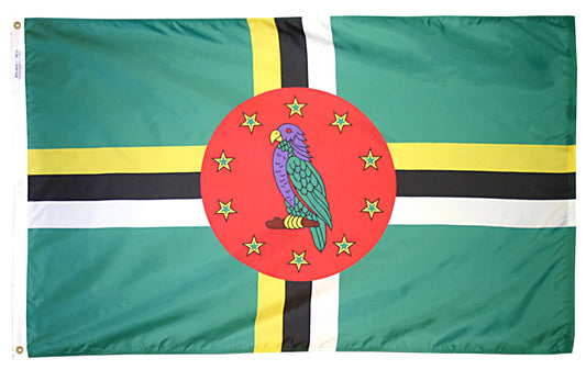 4X6 FT NYL-GLO DOMINICA