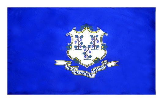 3X5 FT COL NYL-GLO CONNECTICUT
