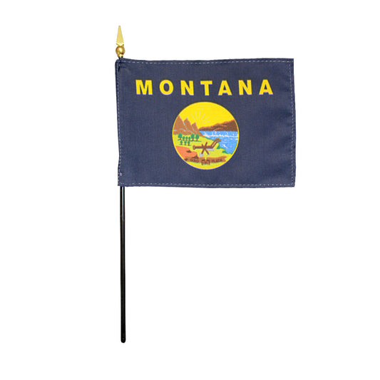 4X6 IN EB MONTANA MTD 12PK