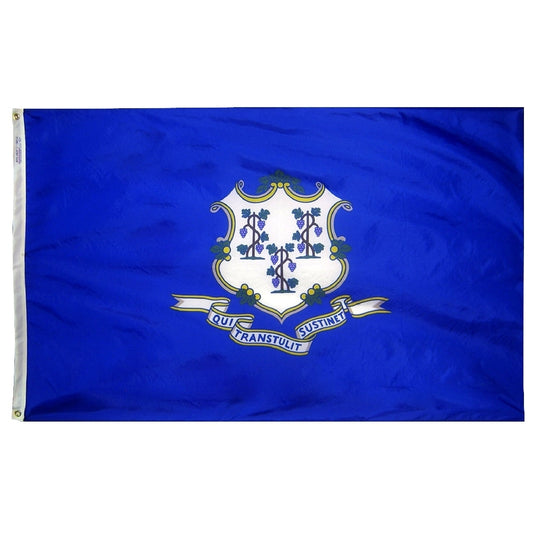 2X3 FT NYL-GLO CONNECTICUT