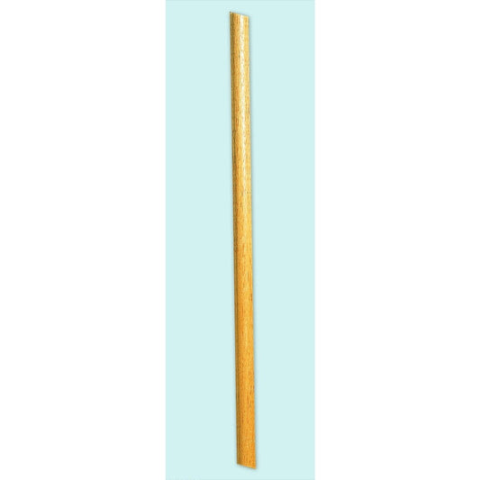 5 FT B POLE ONE EA