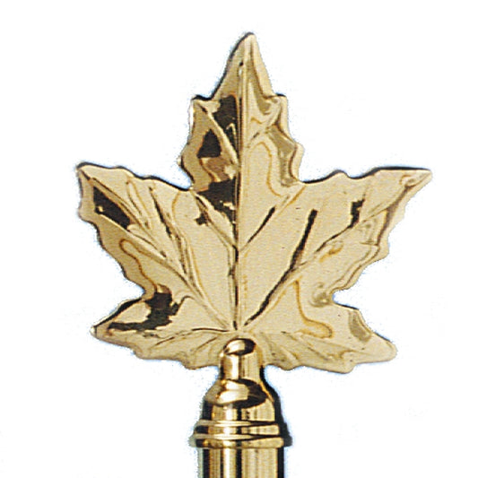 10A BRASS PLATED MAPLE LEAF