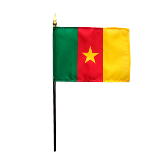 4X6 IN EB CAMEROON MTD 12PK