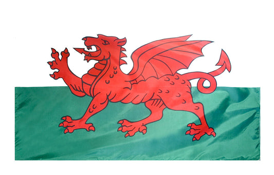 4X6 FT NYL-GLO WALES
