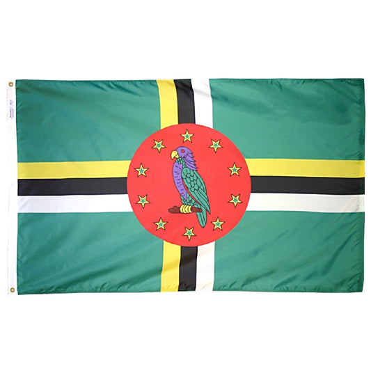12X18 IN NYL-GLO DOMINICA