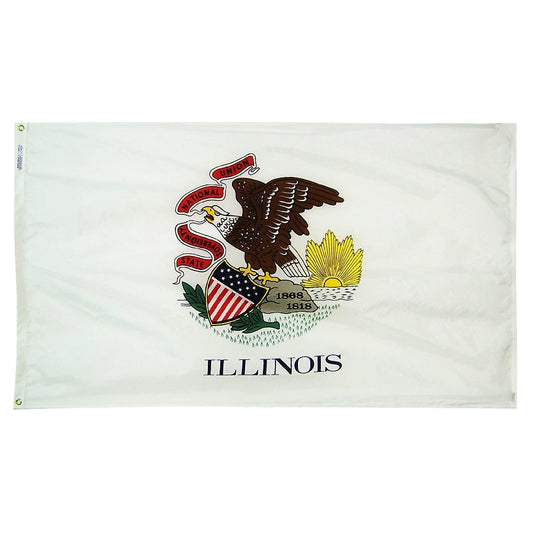 4X6 FT NYL-GLO ILLINOIS